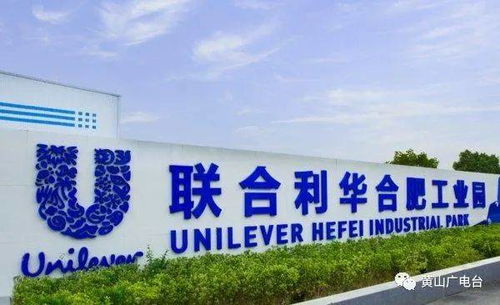 全市投资促进系统赴合肥学习考察 以“合肥模式”为鉴，提升我市投资管理效能