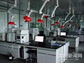 冰城乳品 乳此新鲜系列报道之三｜将新鲜进行到底 冰城乳企牛在拼鲜投资管理